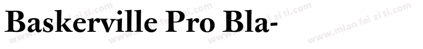 Baskerville Pro Bla字体转换